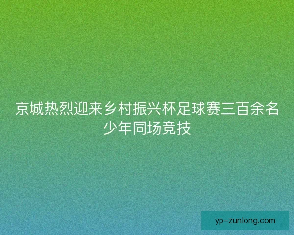 京城热烈迎来乡村振兴杯足球赛三百余名少年同场竞技